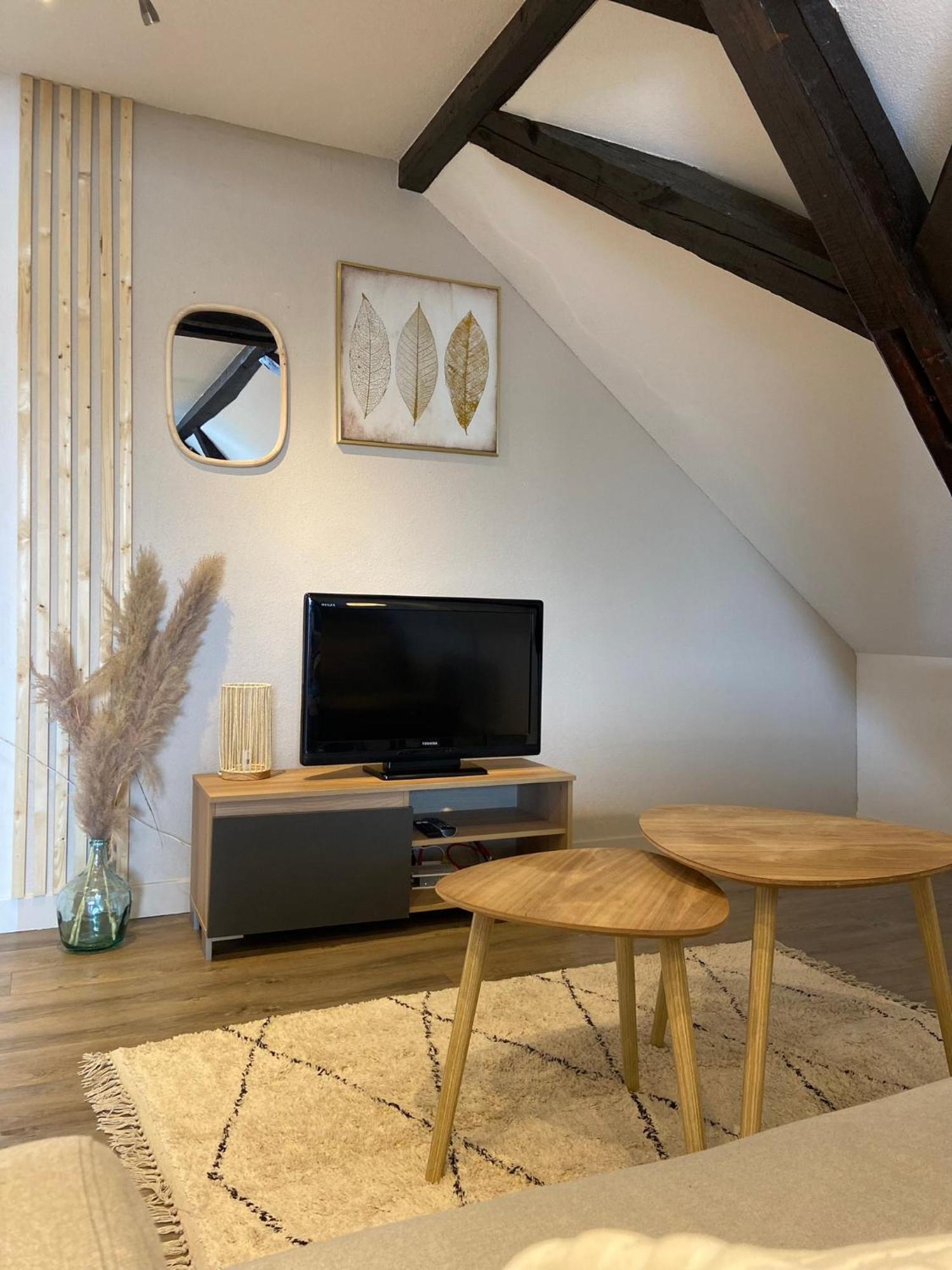 Bel Appartement 2 Pieces Soufflenheim Buitenkant foto
